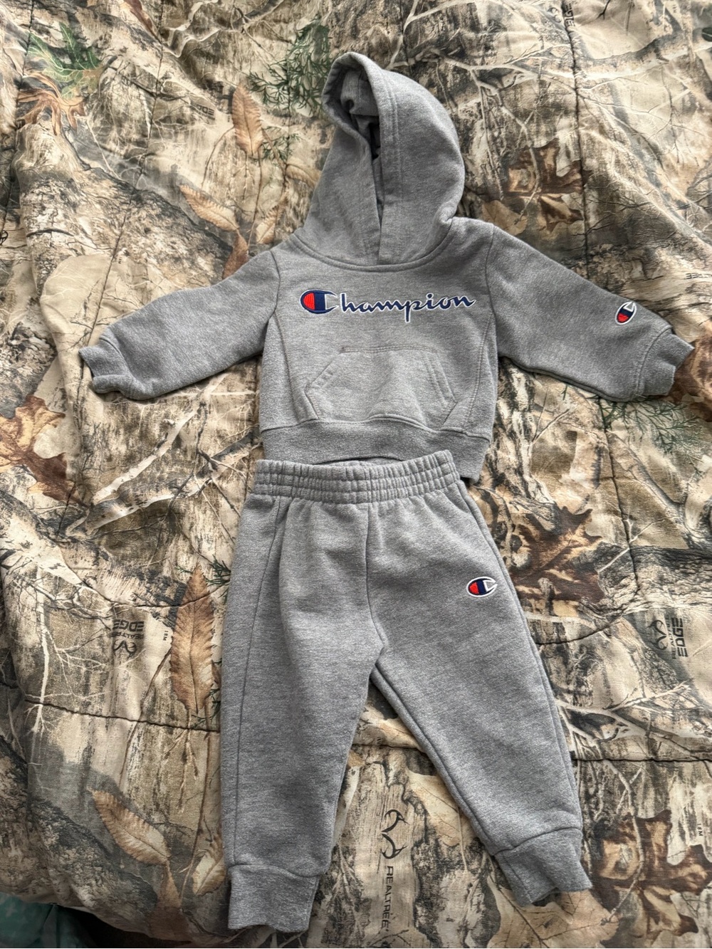 Champion Toddler Gray Hoodie & Sweatpants Set